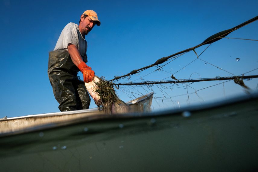 Panam Abordar El Tema De La Pesca Sostenible E Industrial