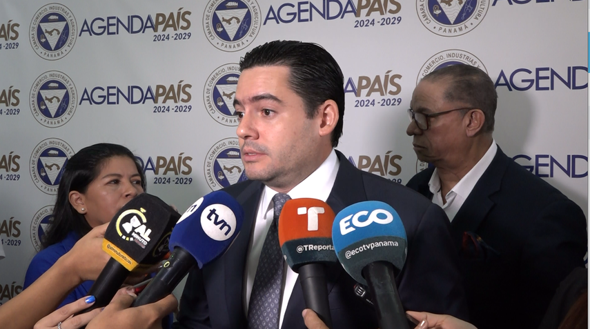 Gaby Carrizo Justifica A Diputados Prd Por Reforma Electoral