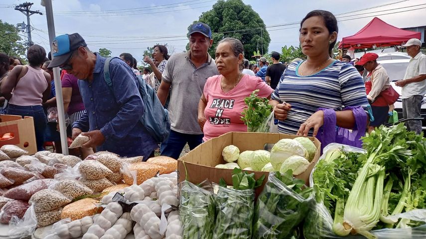 Agroferias Del Ima Conozca El Calendario Para Este Fin De Semana