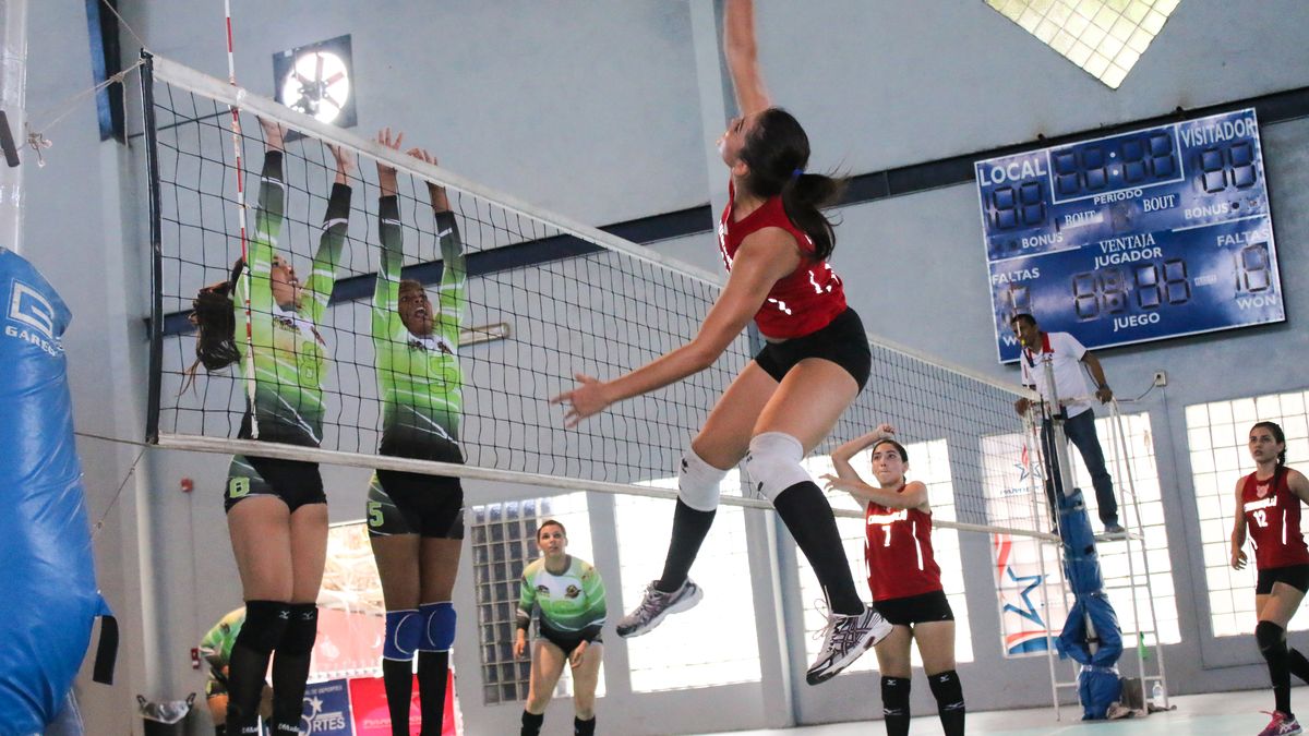 Panam Centro Campe N Del Voleibol Nacional Mayor Femenino