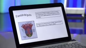Ejecutivo apuesta educación virtual a través de plataforma Ester