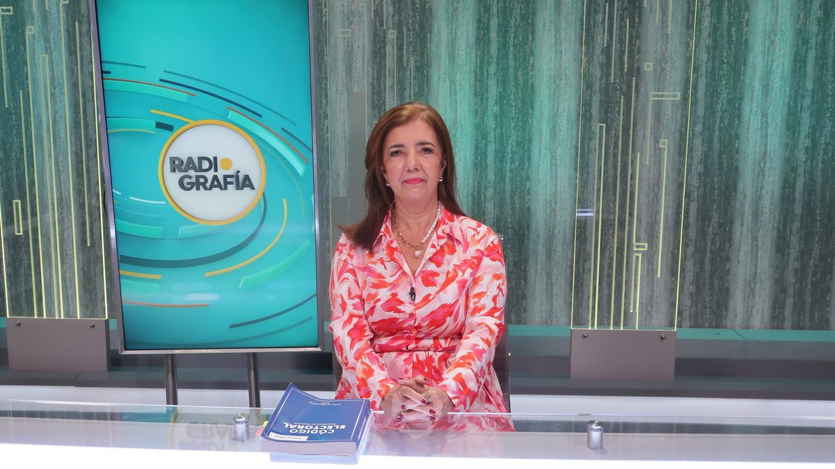 Precandidatos en recolección de firmas no reciben fondos del Estado