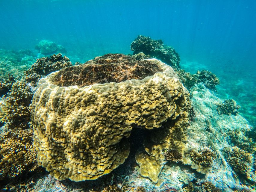 Panamá aboga por la ciencia y la participación ciudadana para la protección de los océanos