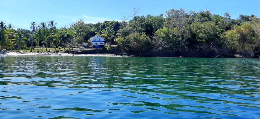 Cinco cruceros provenientes principalmente de Estados Unidos entre diciembre y enero al Golfo de Chiriqu&iacute; seg&uacute;n indic&oacute; MiAmbiente.&nbsp;