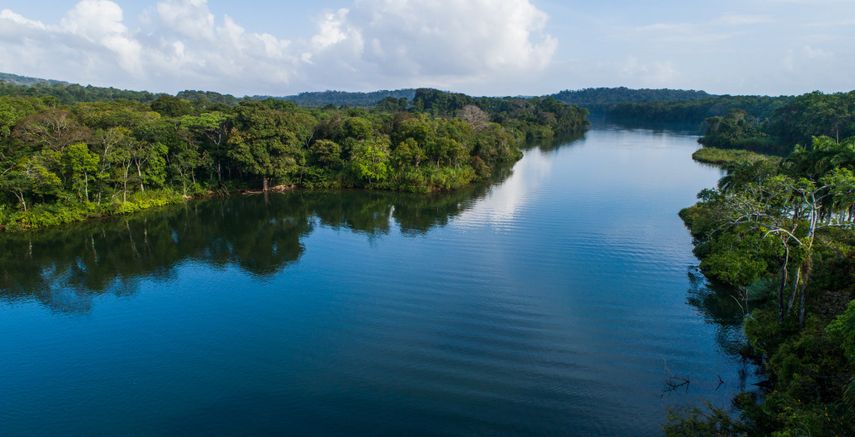 Los avances en la gobernanza forestal indígena en Panamá a través de una alianza entre estas comunidades