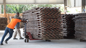 Empresa en Panamá exporta madera con altos estándares.