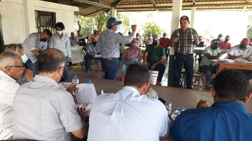 Productores nacionales piden que se abran las vías