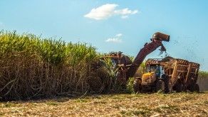 Urge activar sector agroalimentario, aseguran expertos en CADE Occidental