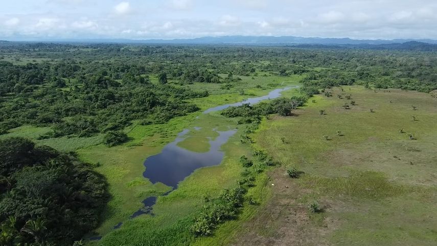 Panamá será la sede en 2028 de la 16 Conferencia de las Partes (COP16) de la Convención sobre los Humedales, informó este viernes el Ministerio de Ambiente (Miambiente) del país centroamericano. Panamá será la sede en 2028 de la 16 Conferencia de las Partes (COP16) de la Convención sobre los Humedales, informó este viernes el Ministerio de Ambiente (Miambiente) del país centroamericano.