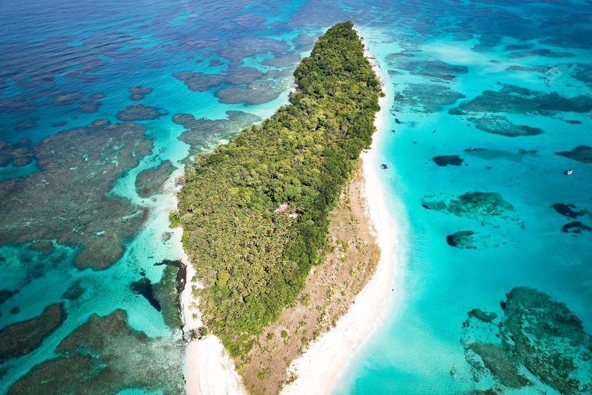 MiAMBIENTE fortalece capacidades para la conservación de tortugas en Cayo Zapatilla