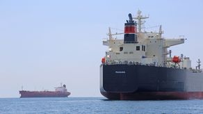 Estados Unidos (EEUU) y otros cinco países aliados de las Américas acusaron este miércoles a China de politizar el comercio marítimo y de ejercer presión económica selectiva, tras el aumento de los controles de buques de bandera panameña en puertos del gigante asiático.
