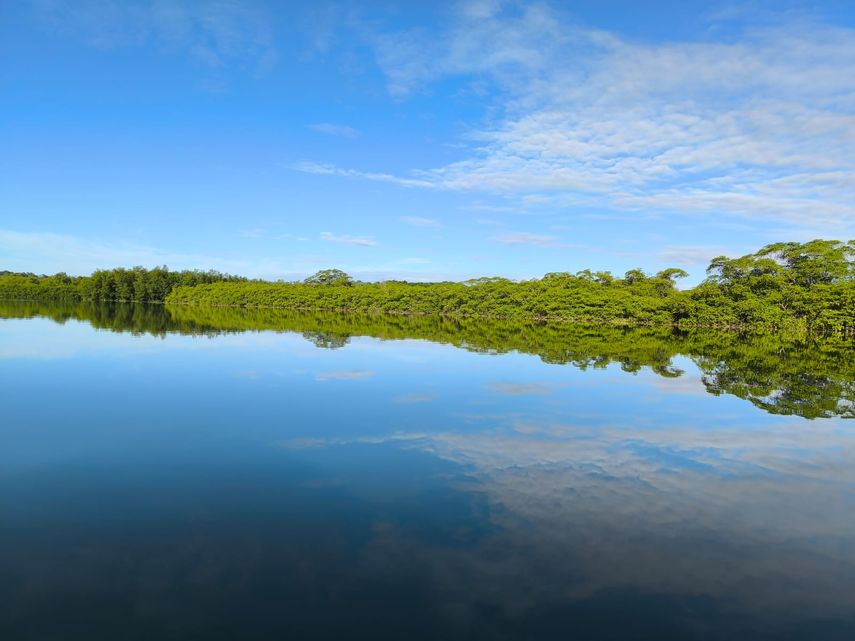 Los humedales de Panamá afrontan presiones significativas
