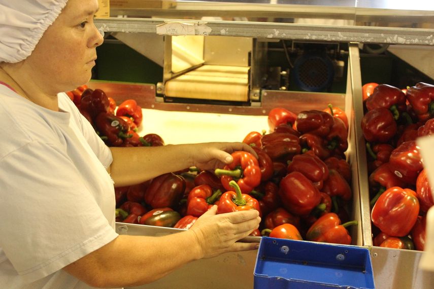 MIDA impulsa programa que vela por la calidad de alimentos