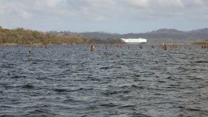 Canal de Panamá estrena documentales sobre cuidado y protección de ríos