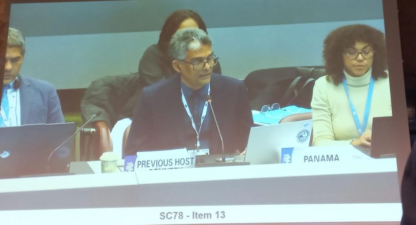 Panamá busca ser sede de la COP de CITES en 2028. Panamá busca ser sede de la COP de CITES en 2028.