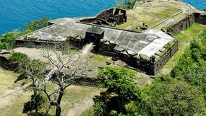 Estudios establecen que Sherman en Colón