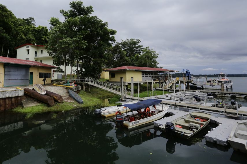 Barro Colorado, la isla laboratorio en el Canal de Panamá que estudia la crisis climática. Barro Colorado, la isla laboratorio en el Canal de Panamá que estudia la crisis climática.