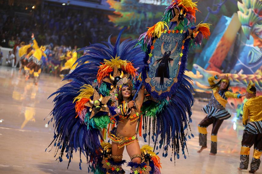 Sao Paulo y Río de Janeiro en alerta por casos de dengue