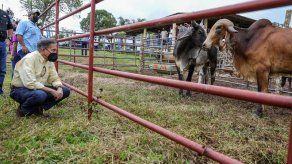 Gobierno entrega ayuda a productores de leche en Coclé y Capira