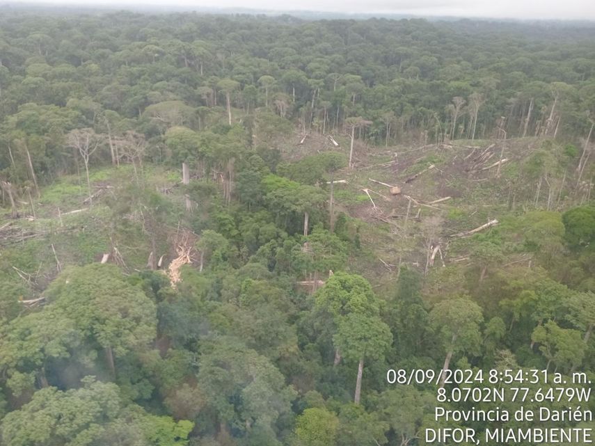 MiAmbiente suspende permisos forestales en comarcas Emberá Wounaan y Wargandí. MiAmbiente suspende permisos forestales en comarcas Emberá Wounaan y Wargandí.