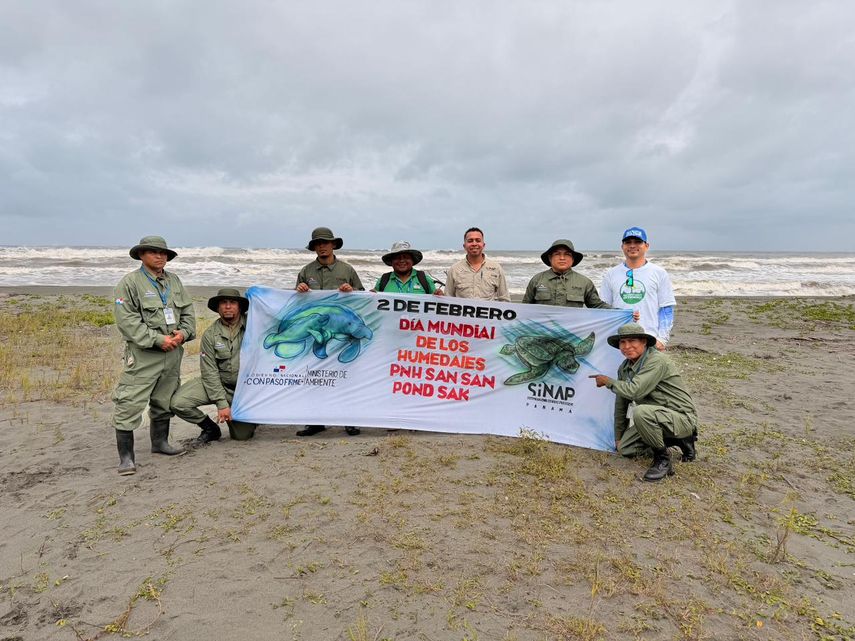 El año 2025 se consolidó como una de las mejores temporadas para la conservación de tortugas marinas en el Parque Nacional Humedal San San Pond Sak