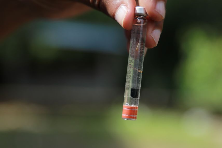 Hasta en un 50 % se redujeron los casos y defunciones por dengue durante el año 2025 en Panamá