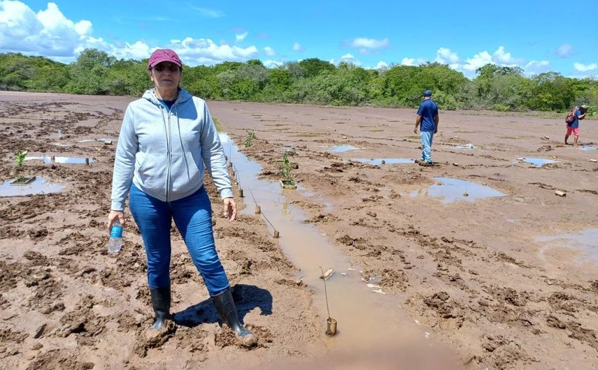 Senacyt presentó los resultados de este proyecto a través del Seminario Científico Técnico sobre Reutilización de Aguas Regeneradas y Uso de Lodos. Senacyt presentó los resultados de este proyecto a través del Seminario Científico Técnico sobre Reutilización de Aguas Regeneradas y Uso de Lodos.