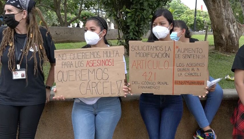 Activistas en contra del maltrato animal realizaron una protesta en el Parque Cervantes de David en la cual pidieron la modificación de la ley 70