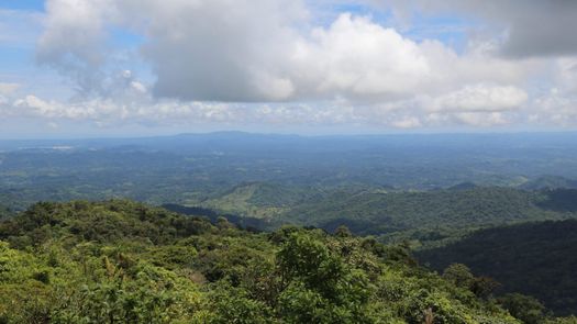 En Chiriquí y Coclé, suspenden acceso a áreas protegidas por Alerta Amarilla