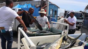 Gremios pesqueros denuncian eliminación de pesquerías en modificaciones a reglamentación de Ley de pesca