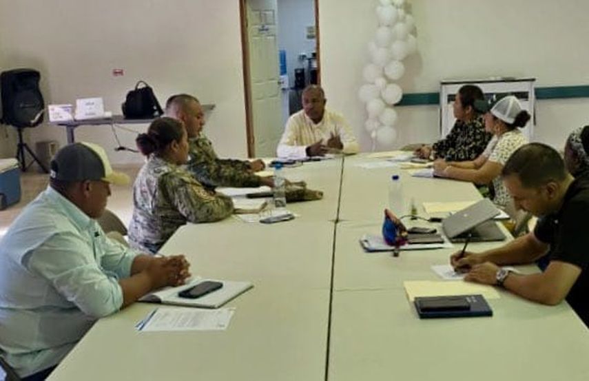 El Minsa coordina acciones contra la fiebre del oropouche. El Minsa coordina acciones contra la fiebre del oropouche.