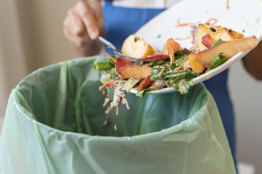 Panamá, entre los países que produce más desperdicios de alimentos en la región