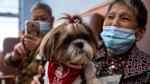 La OMS muestra inquietud por aumento de enfermedades respiratorias en China