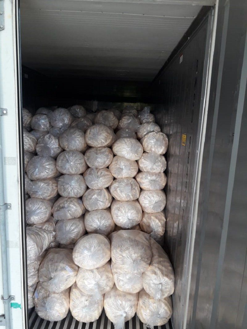 Panamá incrementa exportaciones de plátano hacia EE.UU.