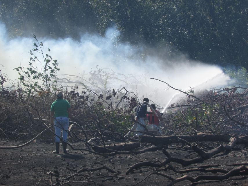 MiAmbiente advierte sobre uso de pirotecnia para fin de año