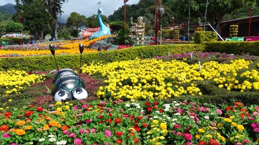Durante la Feria de las Flores y del Café de Boquete se espera la presencia de unos 150 mil visitantes.