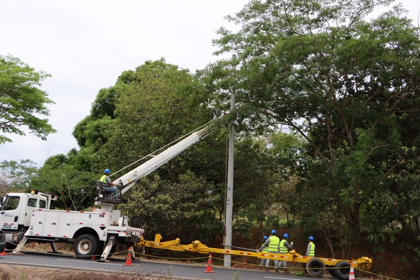 MiAmbiente instala nuevos pasos aéreos de fauna silvestre en Parita para proteger a los monos aulladores
