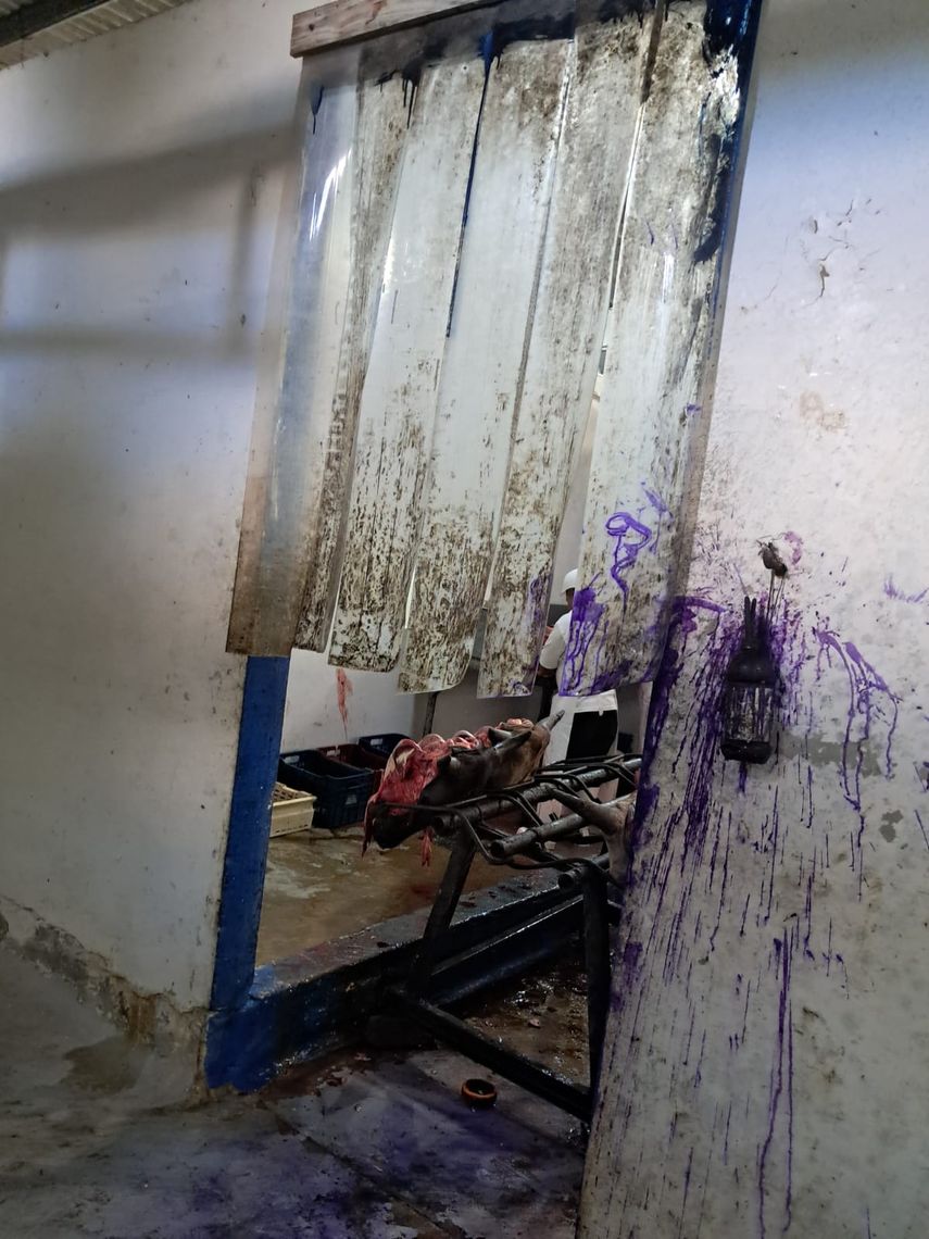 Minsa ordena cierre temporal del matadero municipal de Colón