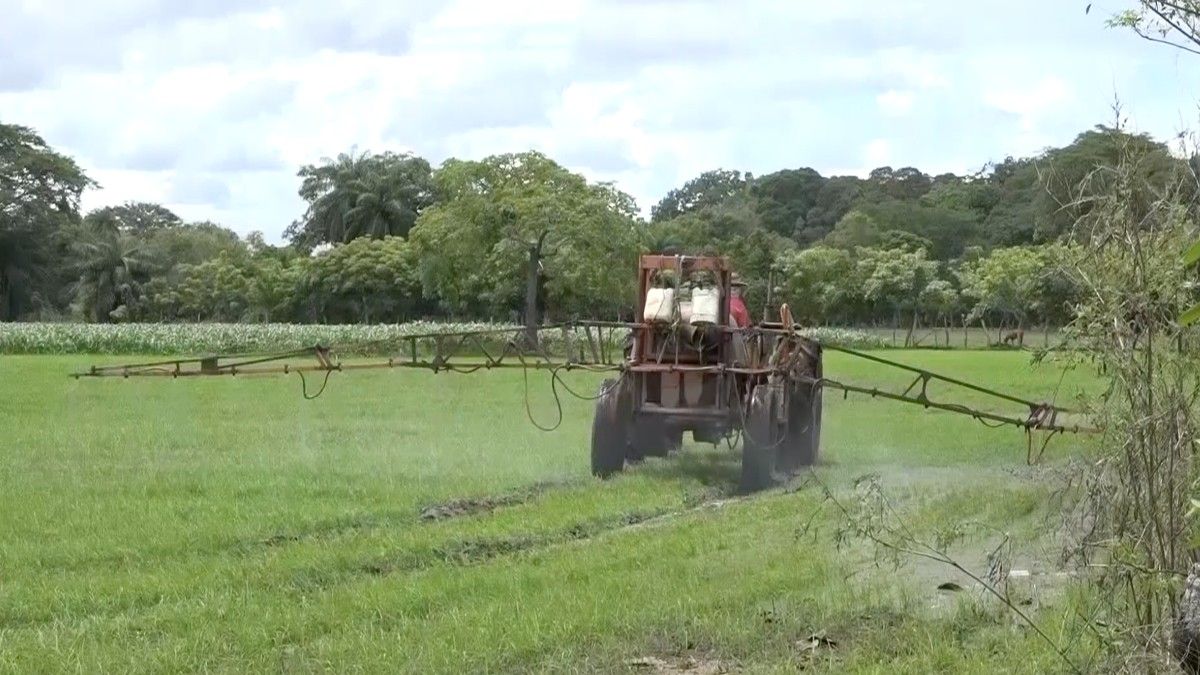 IDIAP continues with Agro Innova program in Chiriquí