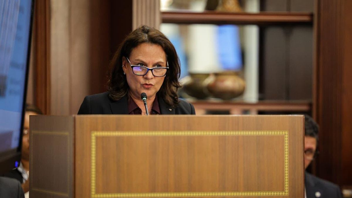 Ilya Espino de Marotta, subadministradora del Canal de Panamá sustentó proyecto al Gabinete.