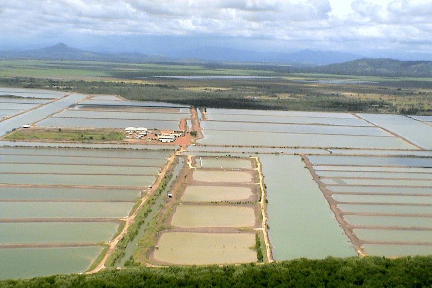 La República de Panamá será sede del evento Latinoamericano y del Caribe de Acuicultura (Lacqua 23, por sus siglas en inglés), del 18 al 21 de abril del presente año, en la ciudad capital.
