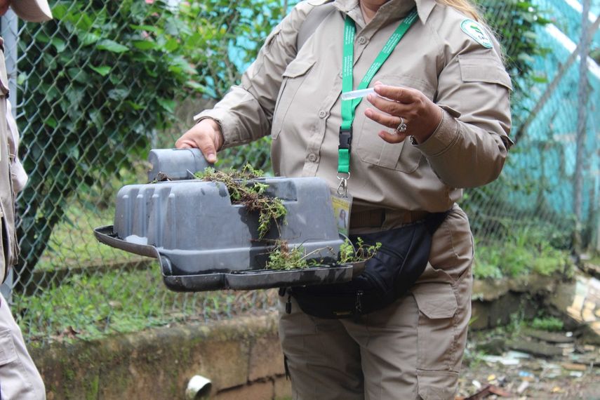 Minsa reporta en informe epidemiológico 13,962 casos de dengue a nivel nacional