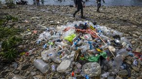 Selva de Darién, en Panamá, sufre daño ambiental irreversible por ola migratoria