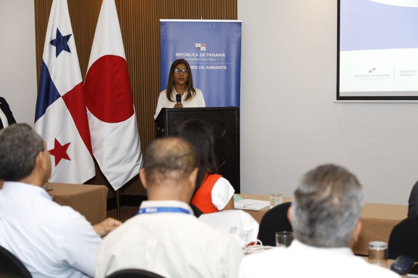 Panamá: Lanzan Modelo Forestal Sostenible