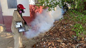 Más de 200 casos de dengue en Región Metropolitana