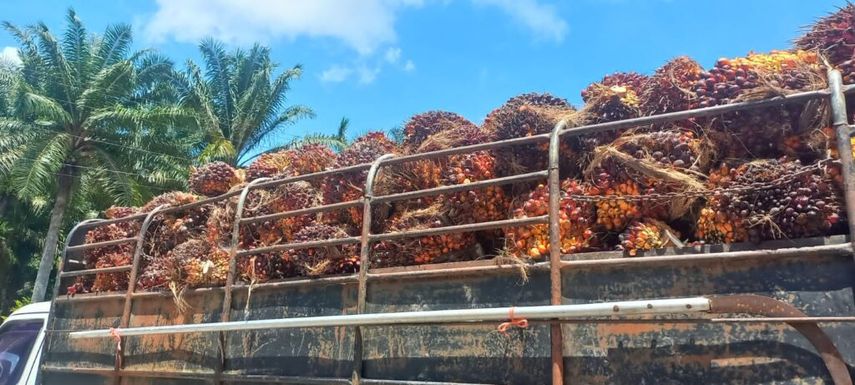 Un total de 11 trabajadores de Chiriquí se beneficiaron con este taller. Un total de 11 trabajadores de Chiriquí se beneficiaron con este taller.
