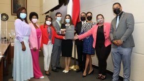 Aprueban en tercer debate el proyecto de ley que crea el Registro de Agresores Sexuales