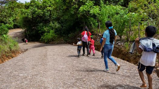 Invierten B/.56 millones en más de 650 caminos rurales a través de la descentralización Invierten B/.56 millones en más de 650 caminos rurales a través de la descentralización