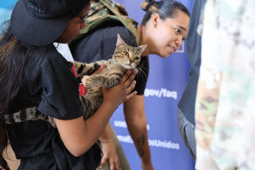 La jornada de esterilización se desarrollo con apoyo conjunto de la Alcaldía de Panamá y la Embajada de los Estados Unidos. La jornada de esterilización se desarrollo con apoyo conjunto de la Alcaldía de Panamá y la Embajada de los Estados Unidos.