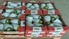 Exportadores de productos de Chiriquí fueron capacitados